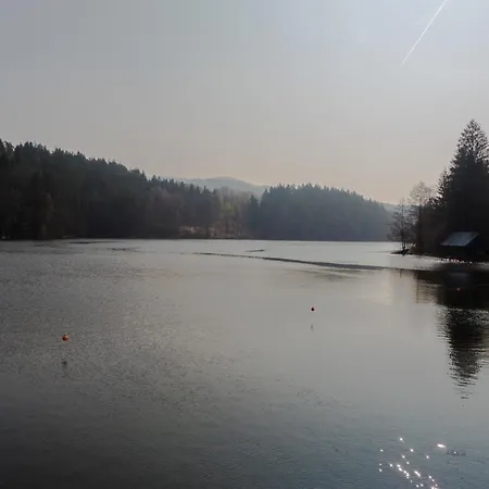 Nr 11a2, Hagbuegerl, Bayr Wald Holiday home Waldmuenchen