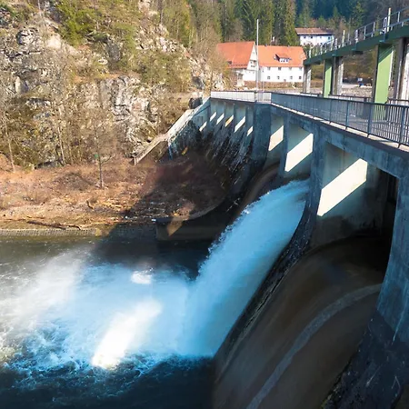 Nr 11a2, Hagbuegerl, Bayr Wald *