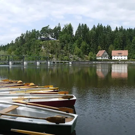 Nr 11a2, Hagbuegerl, Bayr Wald Prázdninový dům Waldmünchen