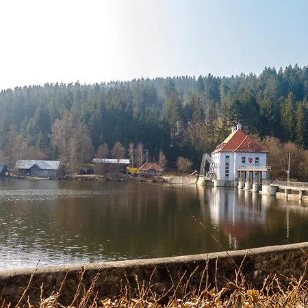 Prázdninový dům Nr 11a2, Hagbuegerl, Bayr Wald *
