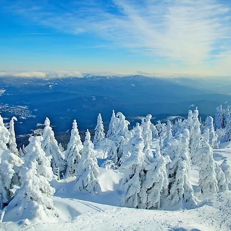 Nr 11a2, Hagbuegerl, Bayr Wald Prázdninový dům *