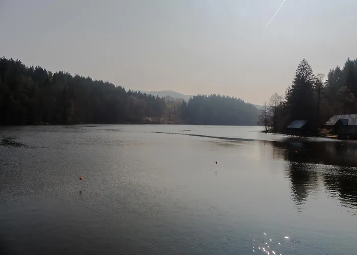 Nr 11a2, Hagbügerl, Bayr Wald Ferienhaus Waldmünchen