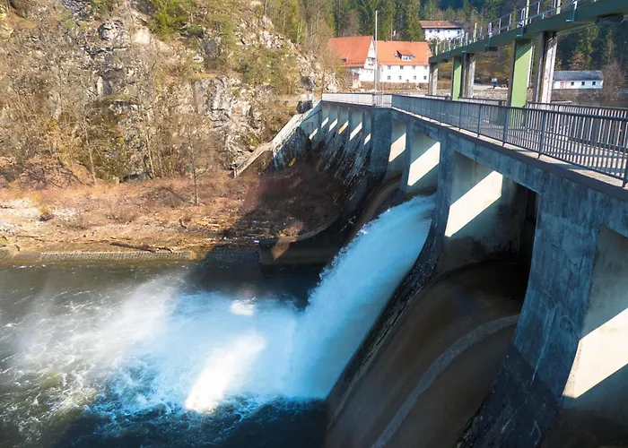 Nr 11a2, Hagbügerl, Bayr Wald *